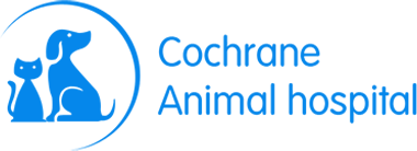Cochrane Animal Hospital